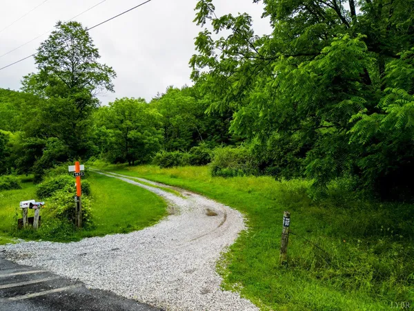 $99,900 | 0 Pedlar River Road, Vesuvius, VA 24483