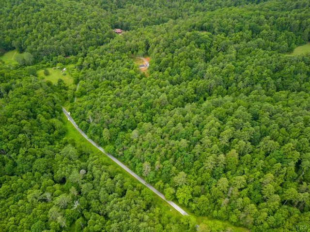 a view of a yard with potted plants