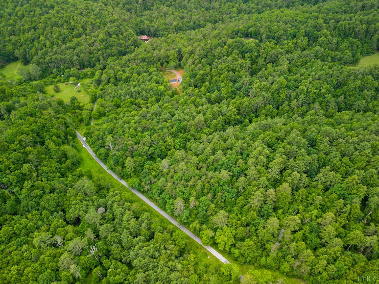 0 Pedlar River Road Vesuvius, VA 24483 - Photo 5 of 20 a view of a green field with lots of bushes