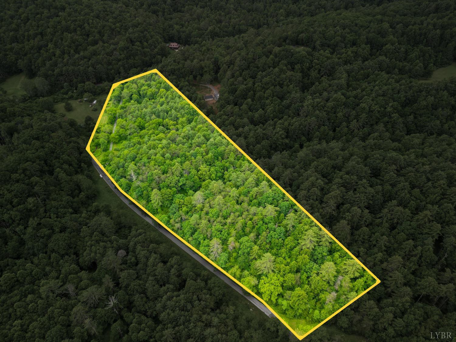 0 Pedlar River Road Vesuvius, VA 24483 - Photo 6 of 20 a view of a yard with potted plants