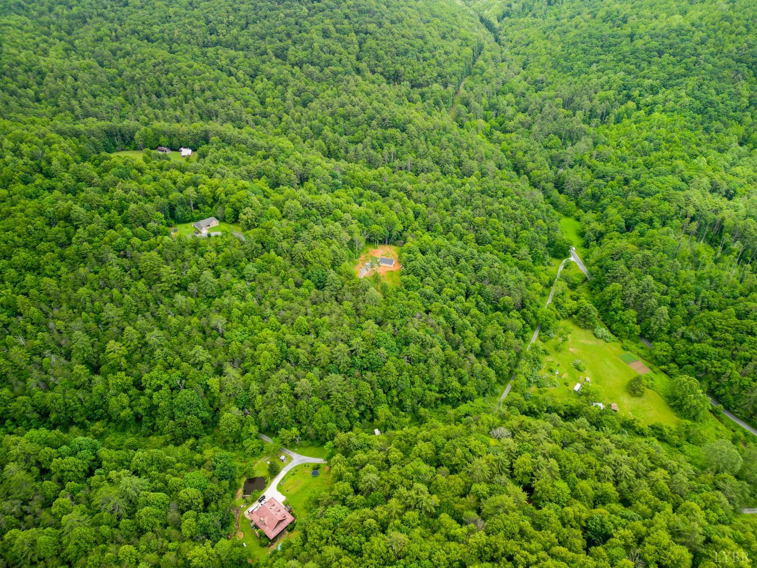 0 Pedlar River Road Vesuvius, VA 24483 - Photo 7 of 20 a bird view of a tree