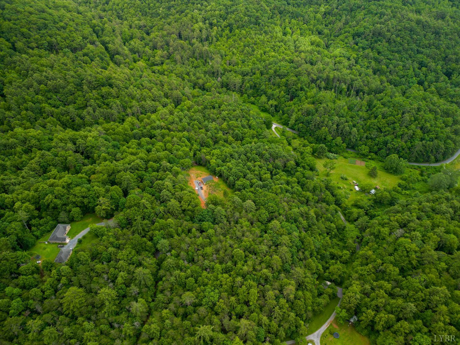 0 Pedlar River Road Vesuvius, VA 24483 - Photo 8 of 20 a view of a forest