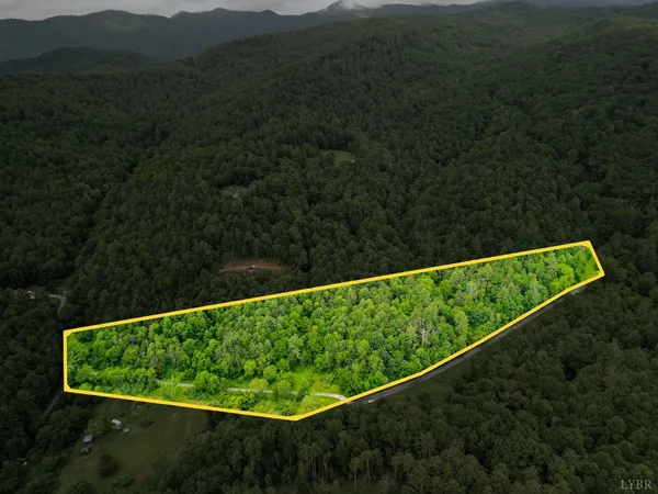 $99,900 | 0 Pedlar River Road, Vesuvius, VA 24483