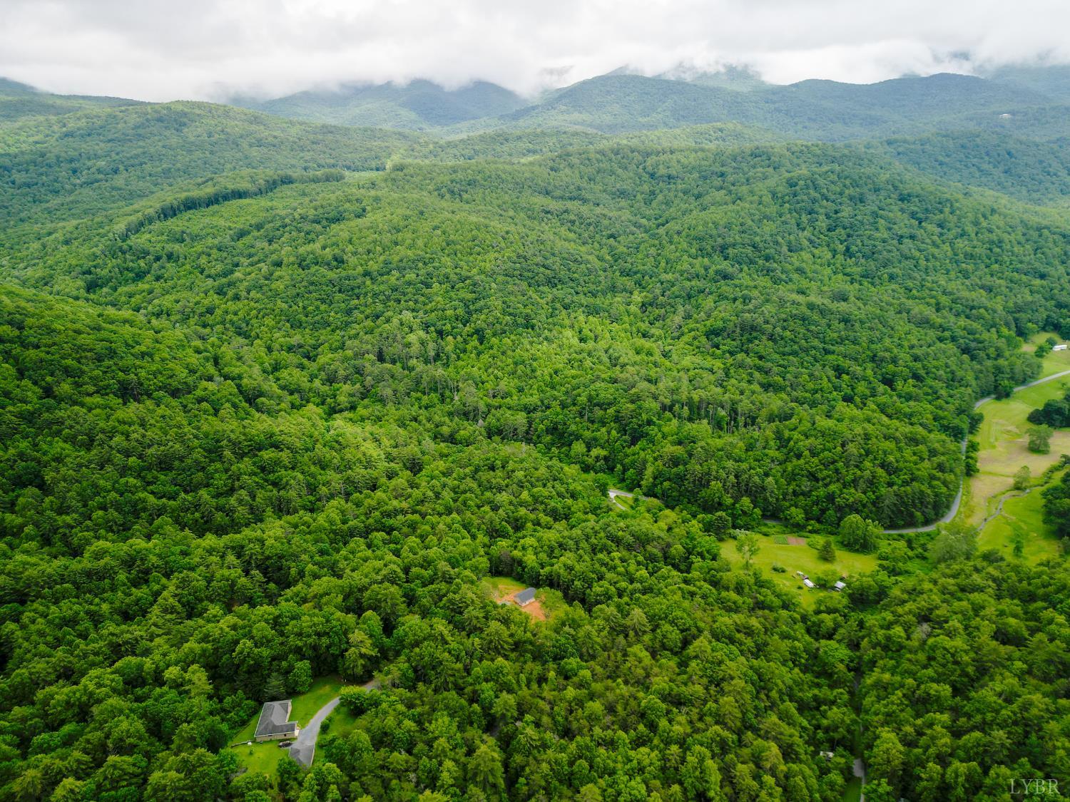 0 Pedlar River Road Vesuvius, VA 24483 - Photo 9 of 20 a view of a lush green forest with lush green forest