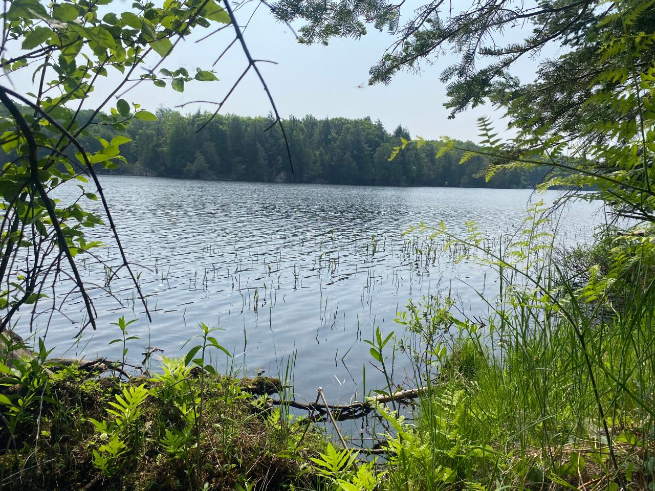 Tbd State Line Lake Road East, Unit 18 & 19 Marenisco, MI 49947 - Photo 6 of 27 Gallery Image 6