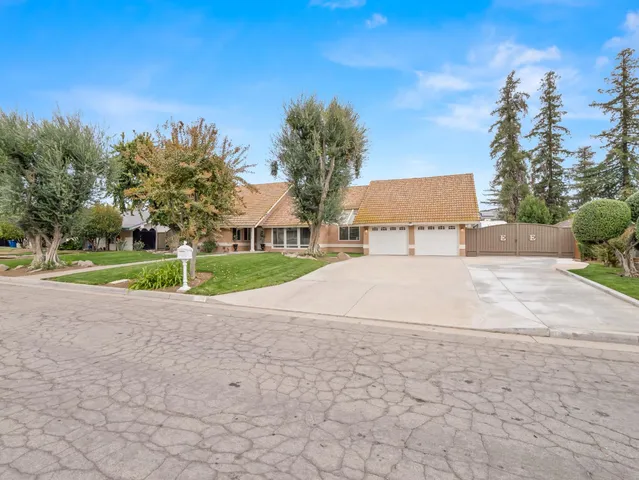a view of a yard with plants and trees