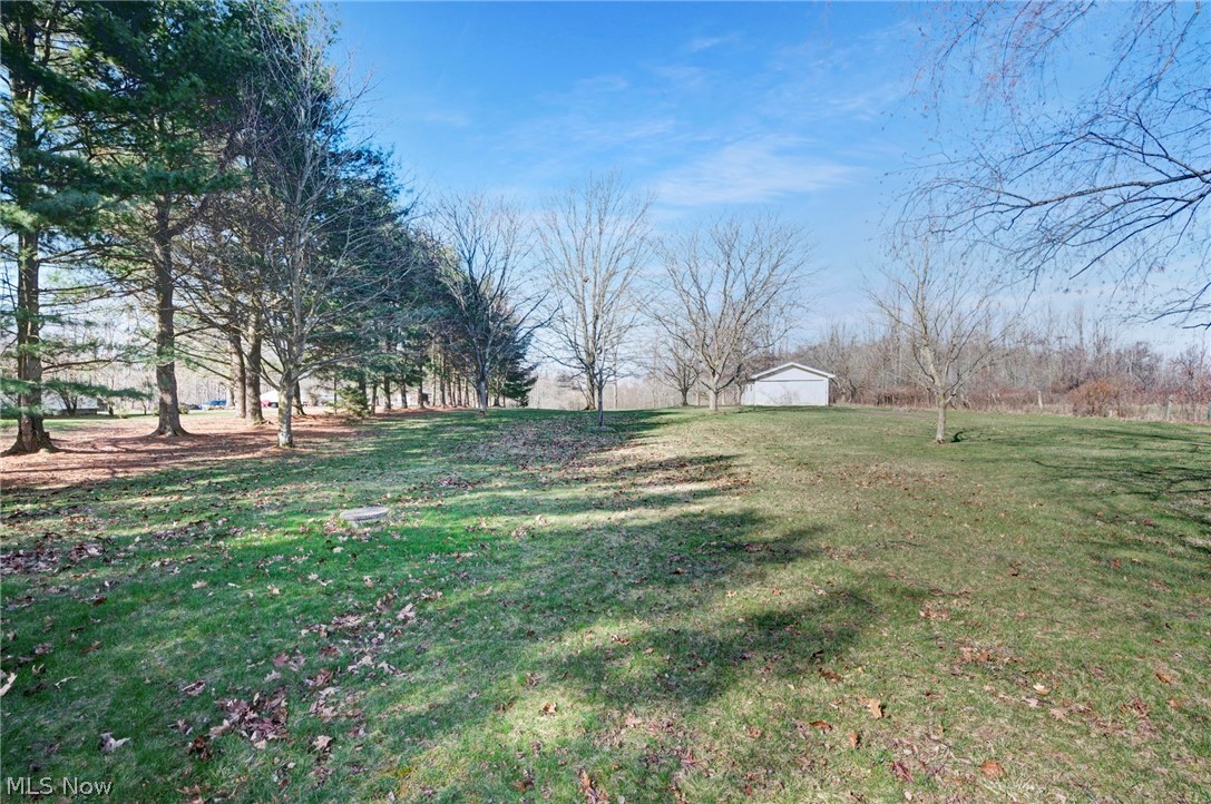 6452 Carsten Road Medina, OH 44256 - Photo 36 of 41 View of yard