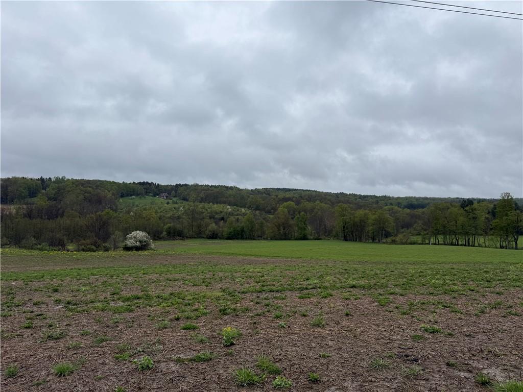0 Dunn Valley Road Waterford, PA 16441 - Photo 32 of 43