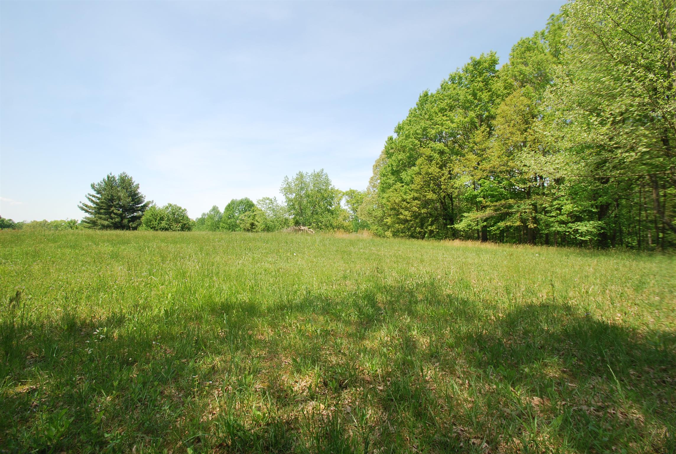 940 North Corinth Road Portland, TN 37148 - Photo 21 of 30 a view of a lake with a yard
