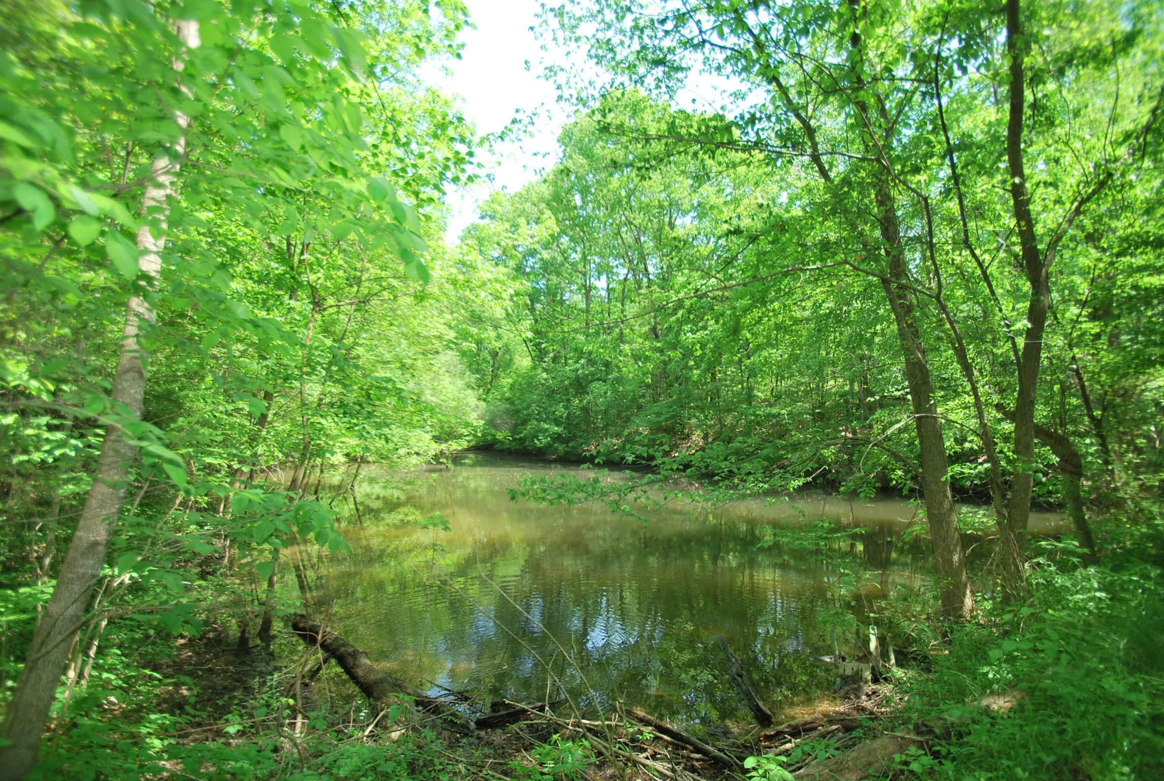 940 North Corinth Road Portland, TN 37148 - Photo 28 of 30 a view of a green field with a tree