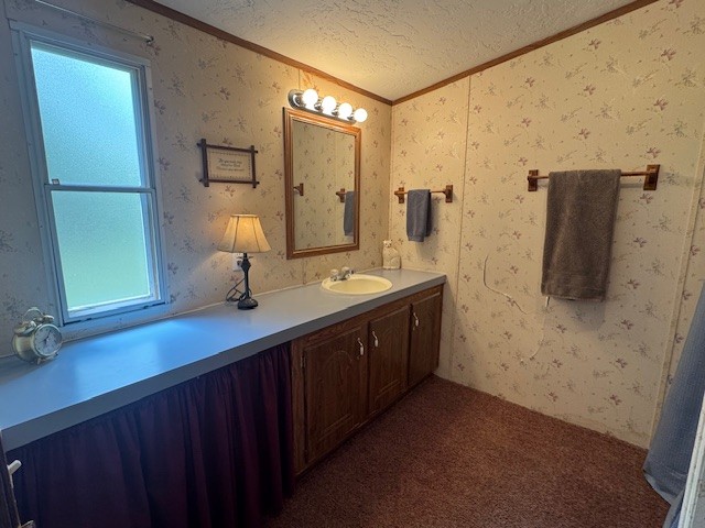 9088 Buck Litton Road Lyles, TN 37098 - Photo 16 of 69 a bathroom with a double vanity sink a mirror and shower