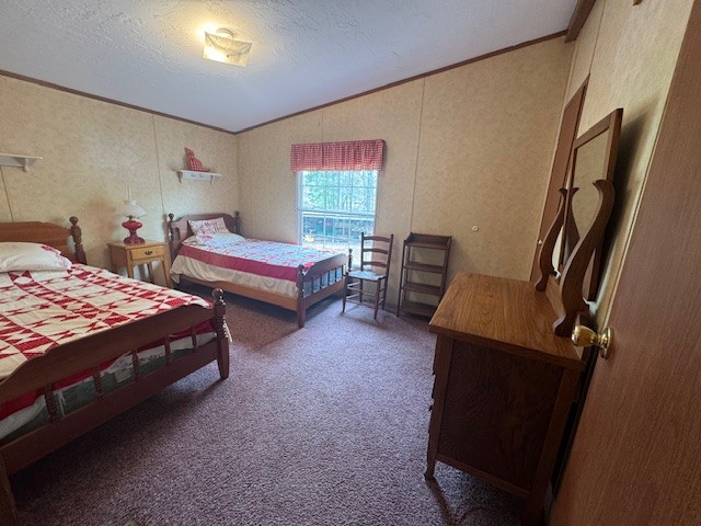 9088 Buck Litton Road Lyles, TN 37098 - Photo 17 of 69 a bedroom with a bed and a dresser next to a window