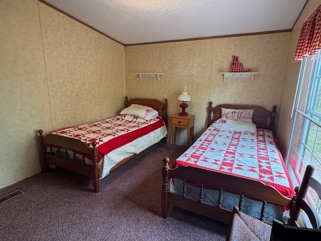 9088 Buck Litton Road Lyles, TN 37098 - Photo 18 of 69 a bedroom with two beds and a couch