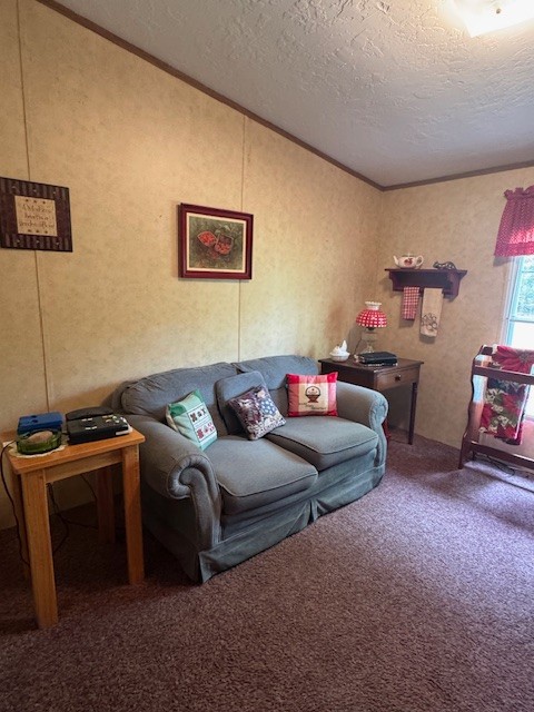 9088 Buck Litton Road Lyles, TN 37098 - Photo 21 of 69 a living room with furniture and a flat screen tv
