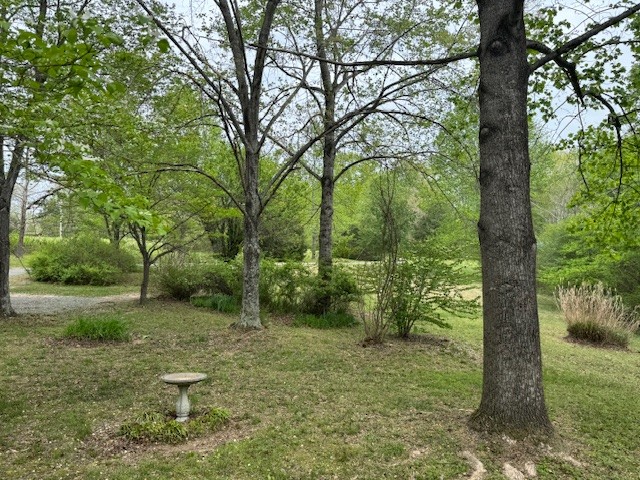 9088 Buck Litton Road Lyles, TN 37098 - Photo 38 of 69 a big yard with lots of green space and trees
