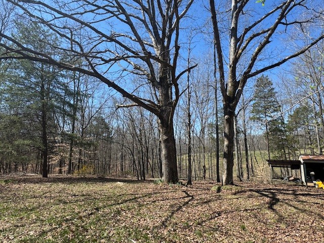 9088 Buck Litton Road Lyles, TN 37098 - Photo 45 of 69