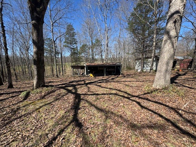 9088 Buck Litton Road Lyles, TN 37098 - Photo 47 of 69