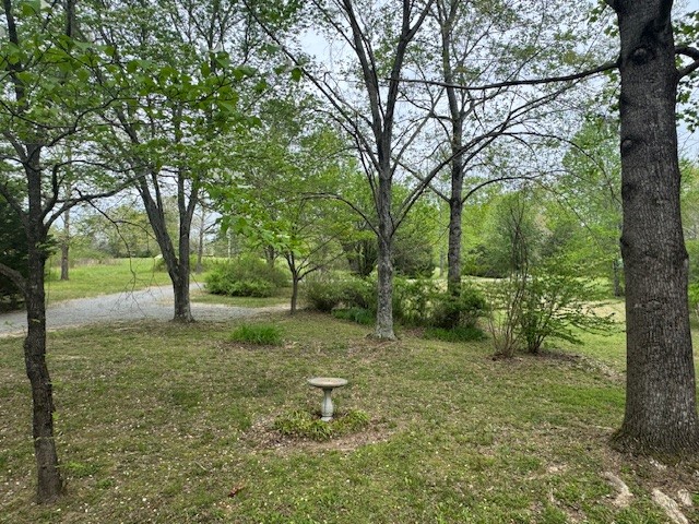 9088 Buck Litton Road Lyles, TN 37098 - Photo 5 of 69 a big yard with lots of green space and tree