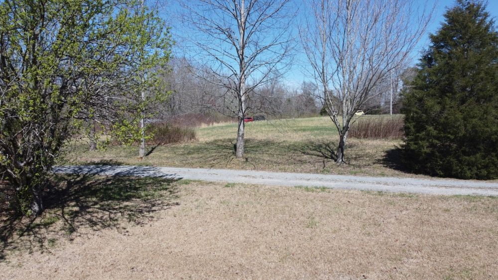 9088 Buck Litton Road Lyles, TN 37098 - Photo 61 of 69 a backyard of a house with lots of green space