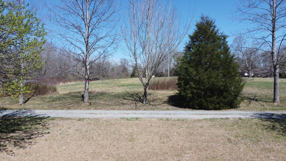 9088 Buck Litton Road Lyles, TN 37098 - Photo 62 of 69 a view of a backyard