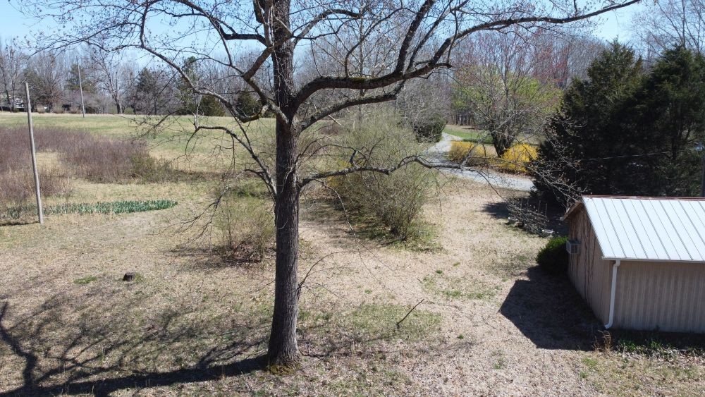 9088 Buck Litton Road Lyles, TN 37098 - Photo 64 of 69 a view of a yard with large trees