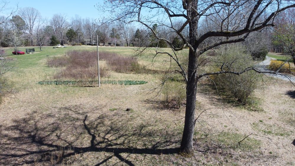 9088 Buck Litton Road Lyles, TN 37098 - Photo 65 of 69 a view of a yard with a tree