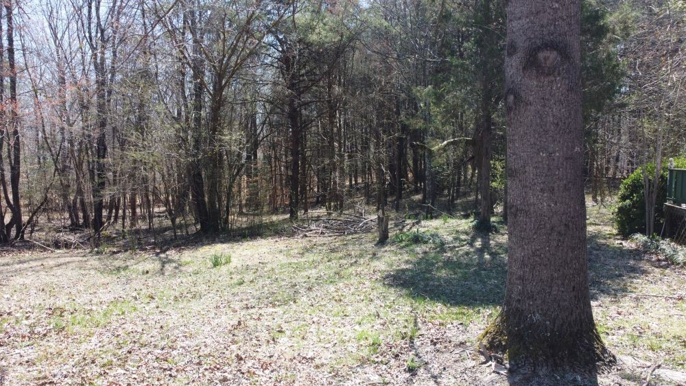 9088 Buck Litton Road Lyles, TN 37098 - Photo 67 of 69