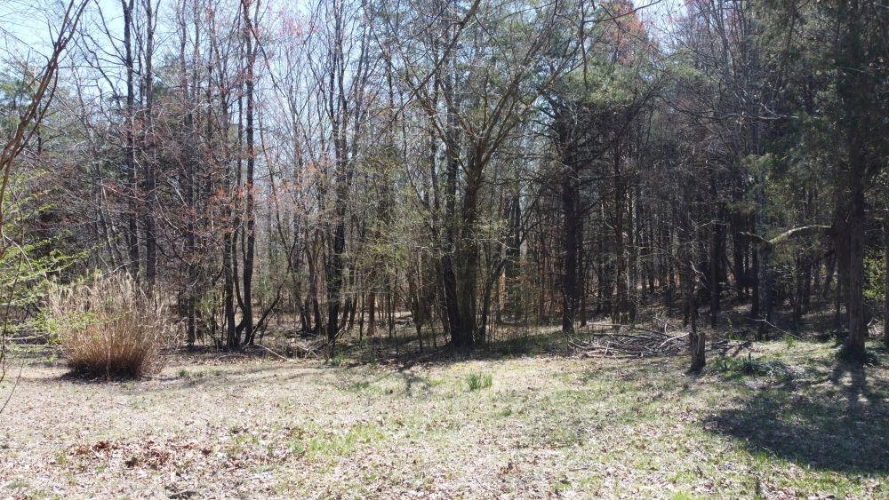 9088 Buck Litton Road Lyles, TN 37098 - Photo 68 of 69 a view of wooden fence