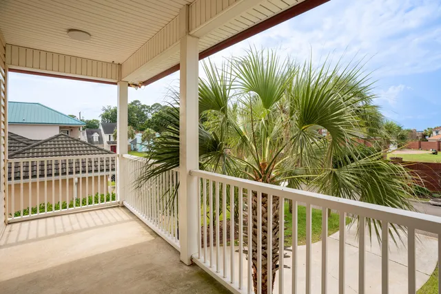 a view of a backyard with plants and large trees