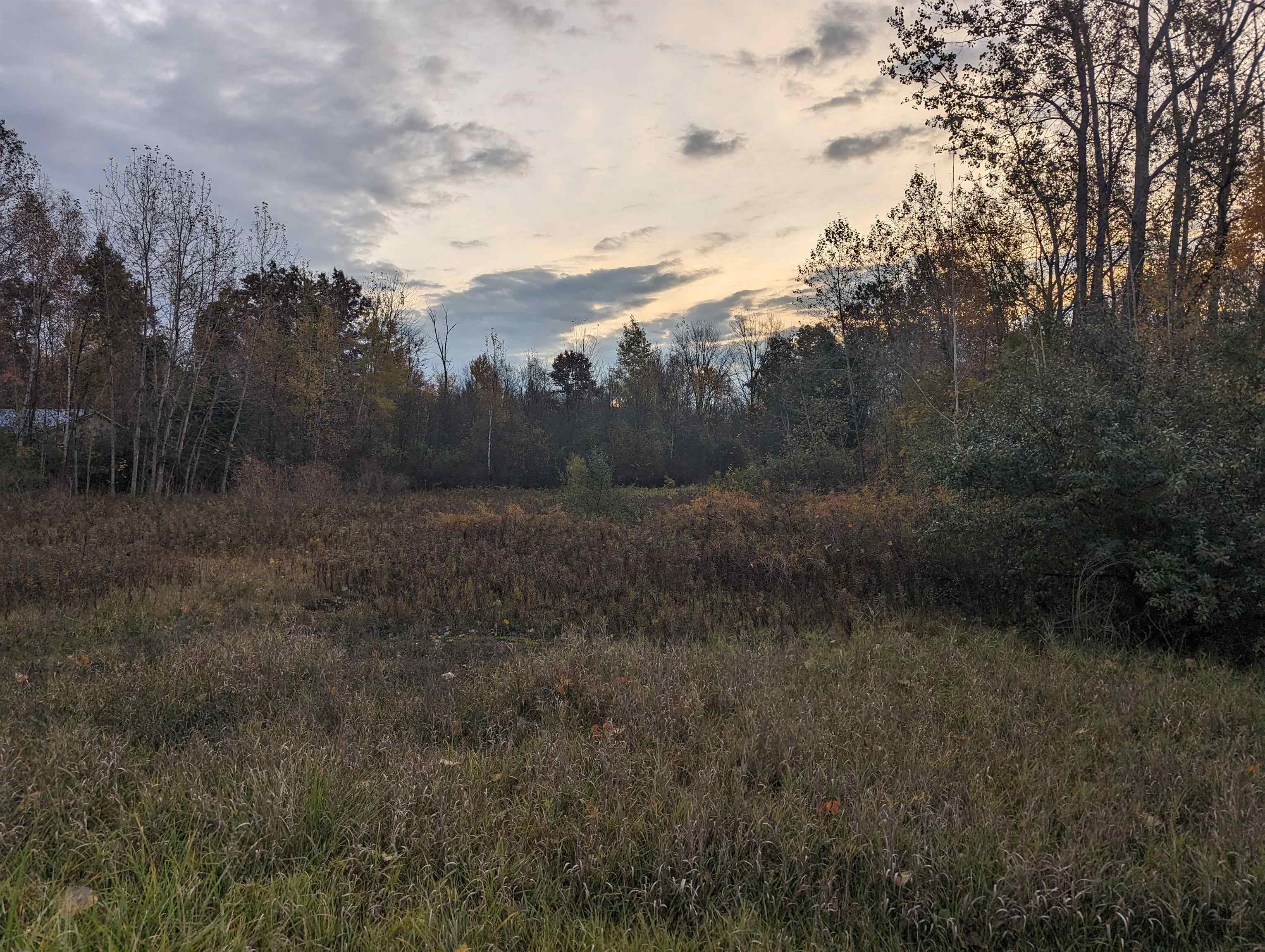 N/a South Hale Road Omer, MI 48749 - Photo 1 of 6