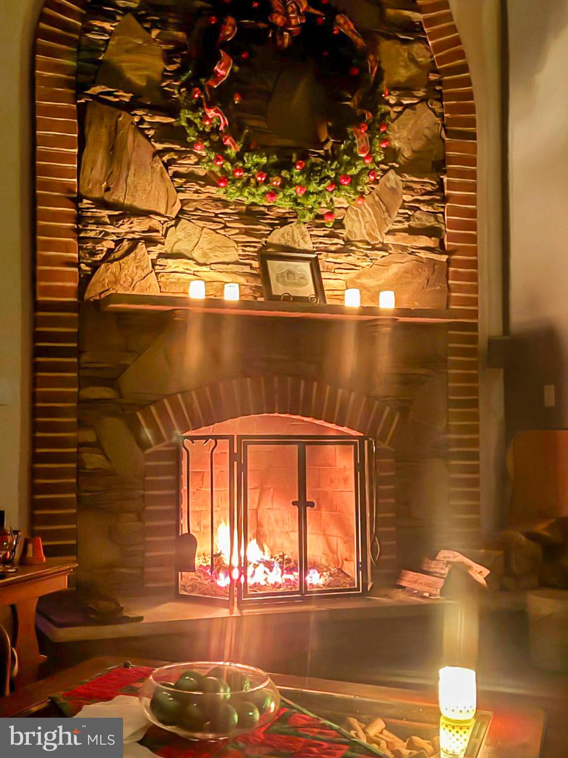 1603 Waters Ridge Court Arnold, MD 21012 - Photo 25 of 94 Fireplace with lights