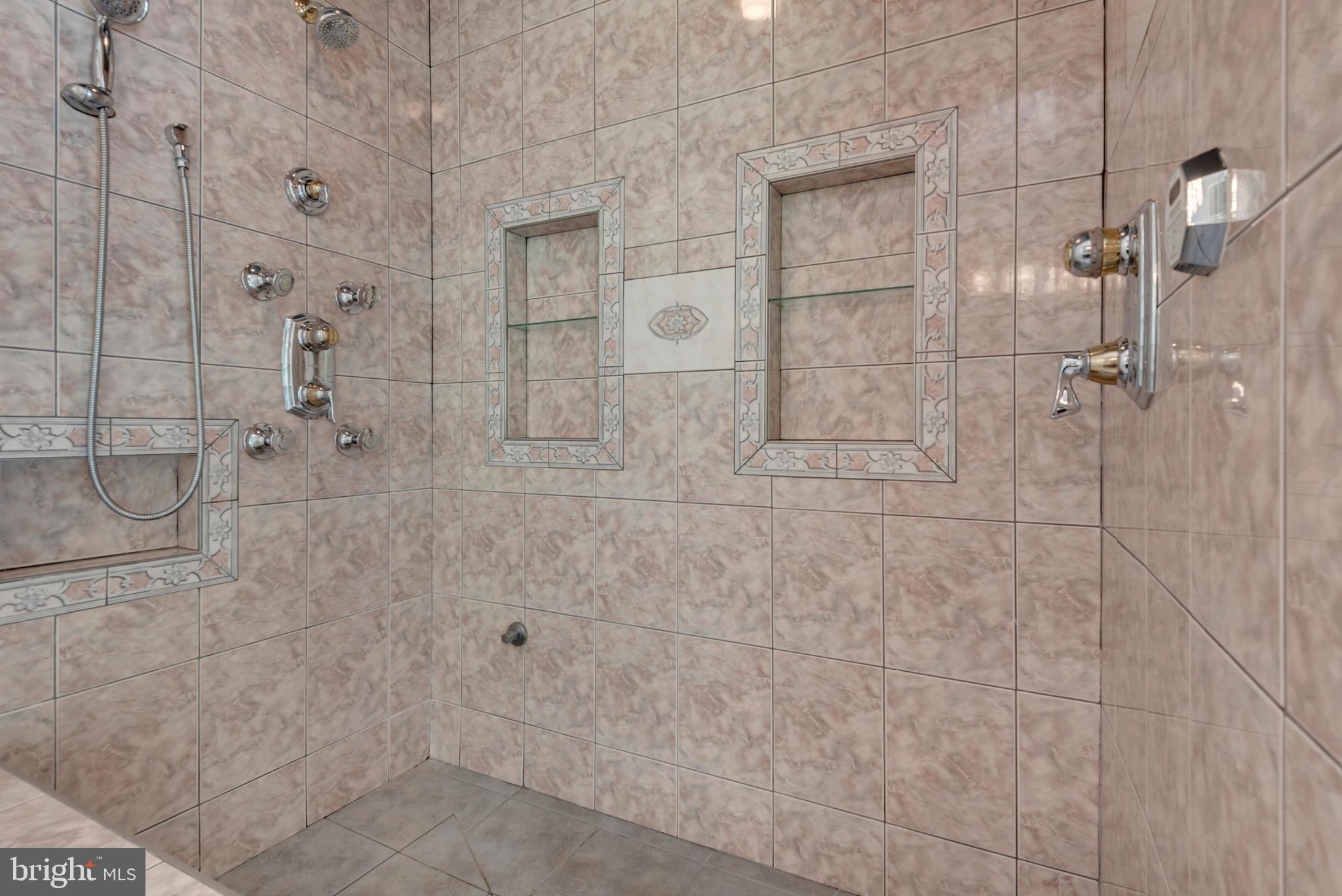 1603 Waters Ridge Court Arnold, MD 21012 - Photo 39 of 94 Double headed Shower
