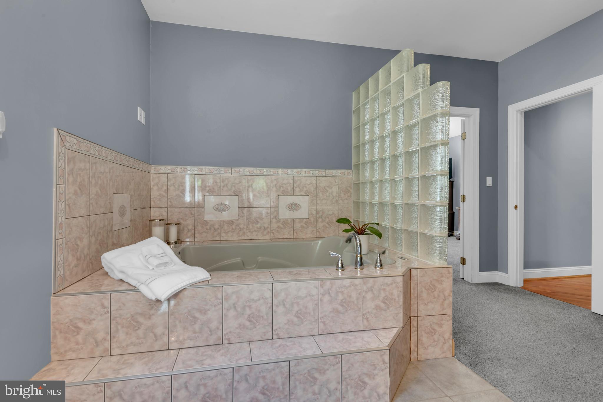 1603 Waters Ridge Court Arnold, MD 21012 - Photo 40 of 94 Jacuzzi in Primary Bath