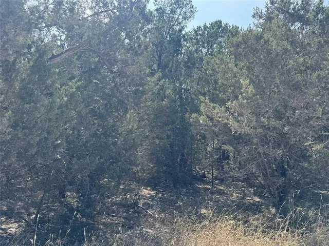 a view of a dry yard with trees