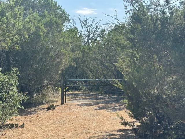 a view of a yard with a tree