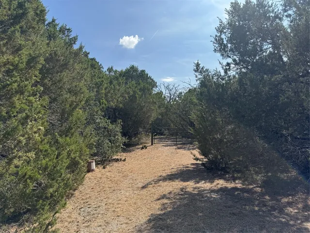 a view of a yard with a tree