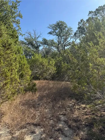 a view of a yard with trees in the background