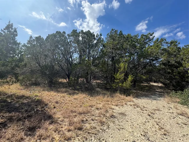 a view of a yard with a tree