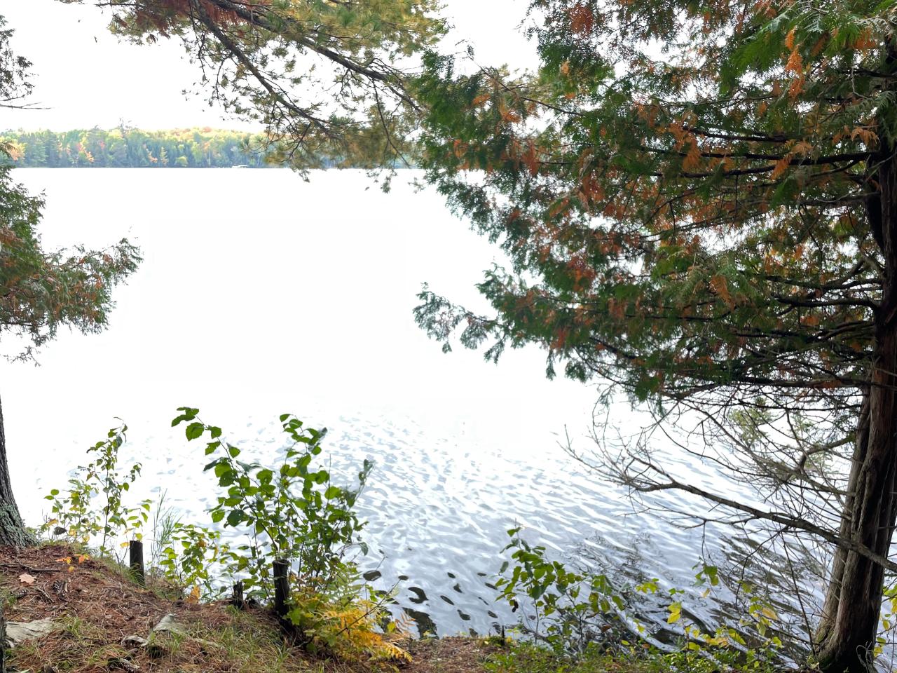 On Jansen Road, Unit LOT 6 Minocqua, WI 54548 - Photo 29 of 29 Gallery Image 29