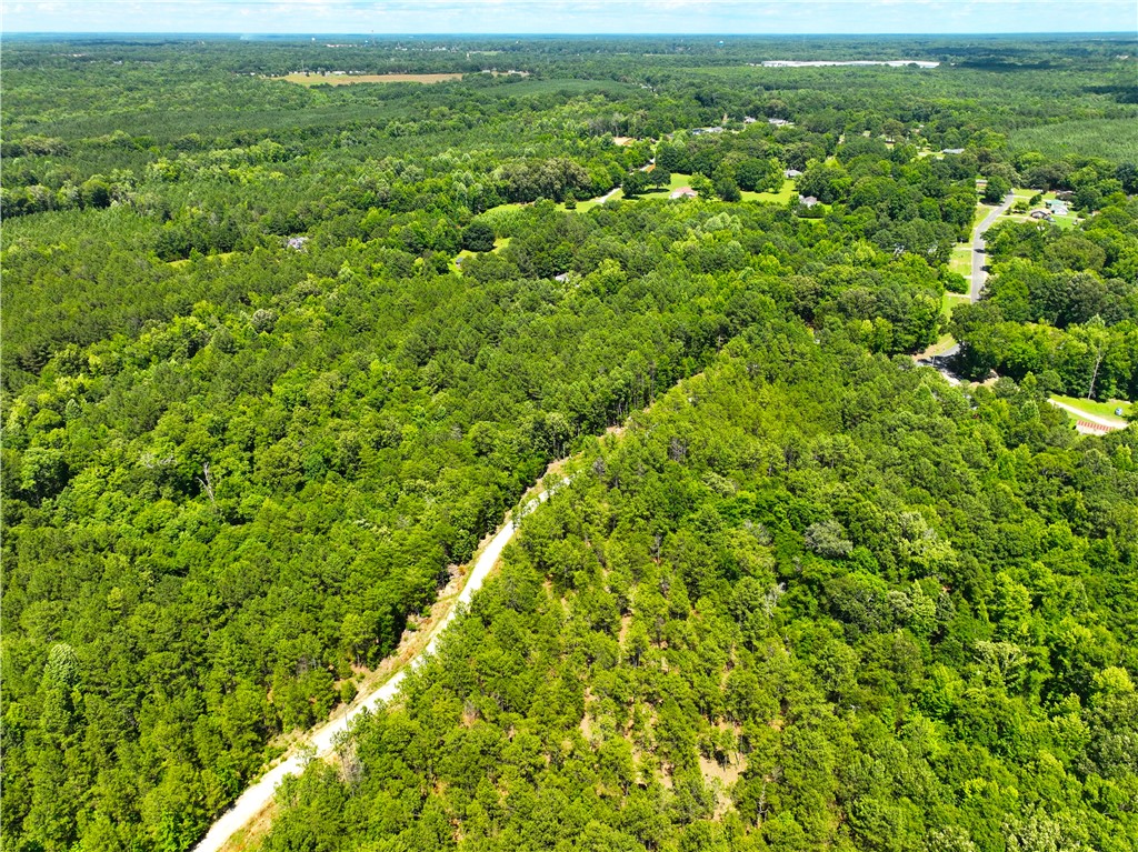 401 Coleman Road Clinton, SC 29325 - Photo 9 of 25