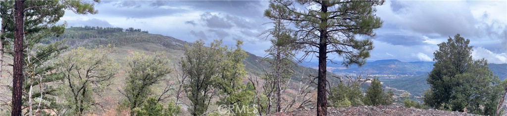 17655 Ford Flat Road Middletown, CA 95461 - Photo 11 of 15 a view of a tree in a yard