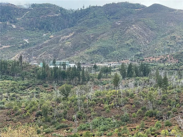 a view of a city with lush green forest