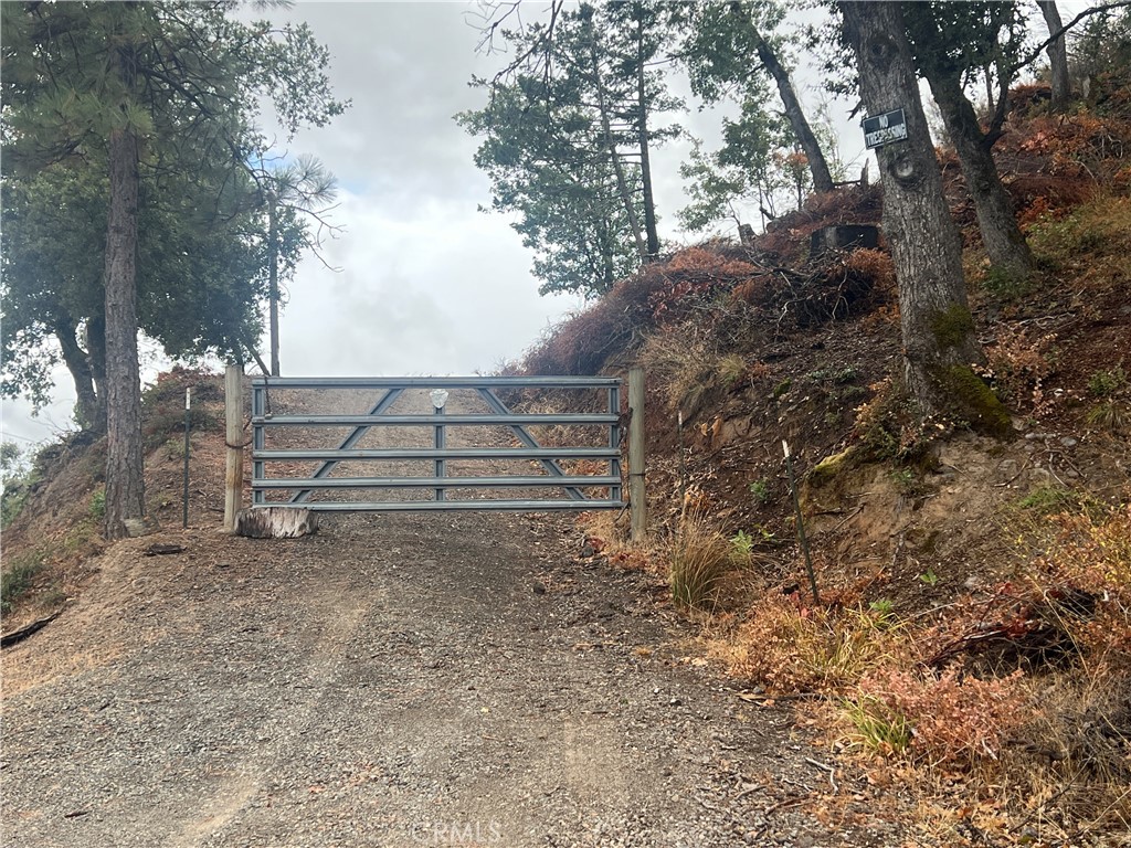 17655 Ford Flat Road Middletown, CA 95461 - Photo 14 of 15 a view of backyard