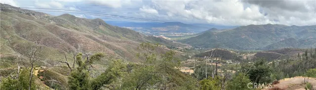 a view of a yard with trees