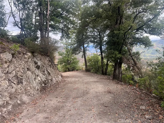 a view of a dry yard