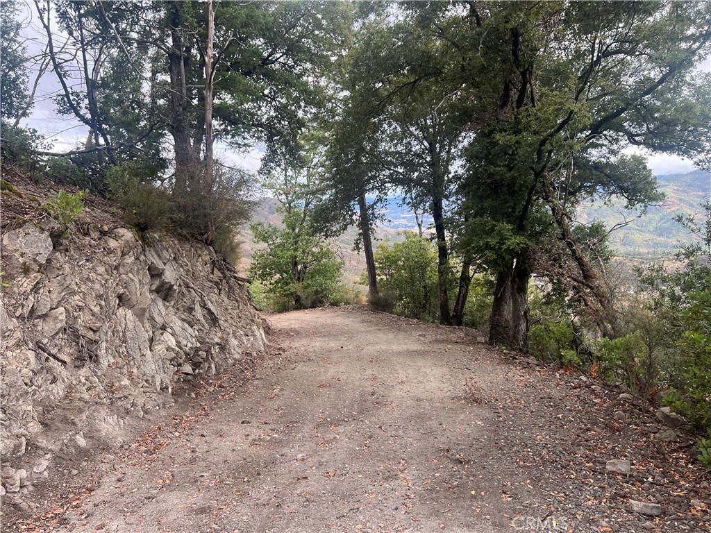 17655 Ford Flat Road Middletown, CA 95461 - Photo 3 of 15 a view of a yard with trees