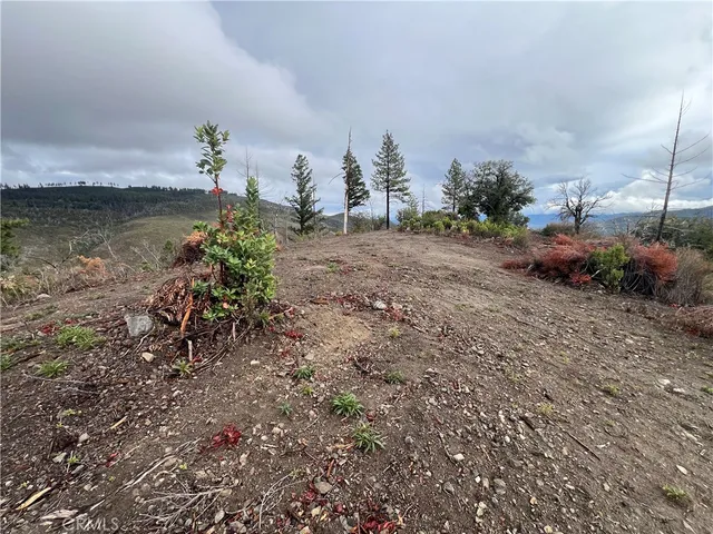 a view of a dry yard with mountains in the background