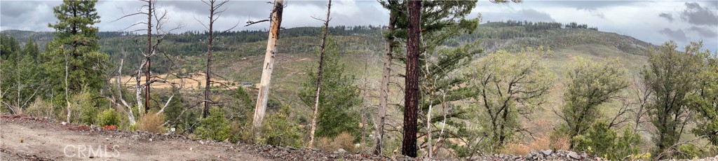 17655 Ford Flat Road Middletown, CA 95461 - Photo 10 of 15 a view of a garden