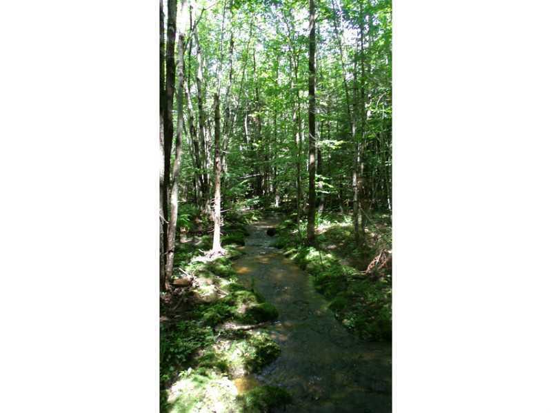 Tbd Macomber Hill Road Jay, ME 04239 - Photo 20 of 26 Land/Lot.