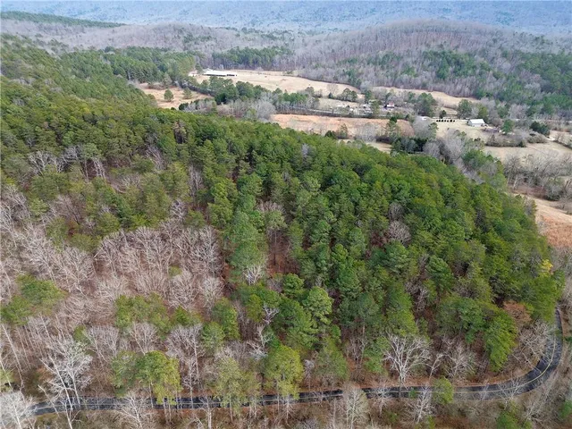 an aerial view of residential houses with outdoor space and trees